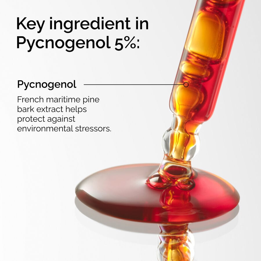 Pycnogenol 5% - US 6222
